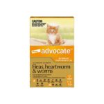 Advocate Orange dla małych kotów