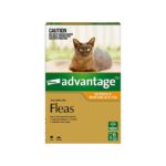 Advantage Small Cat Pchła Pipette